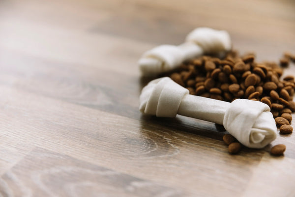 MSM para perros: Indicaciones y recomendaciones clave