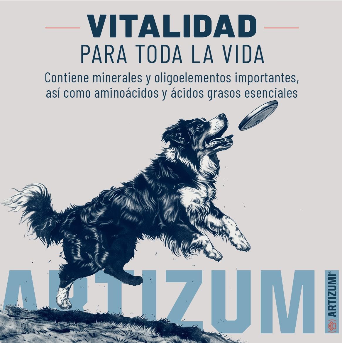 artizumi vitalidad para toda la vida