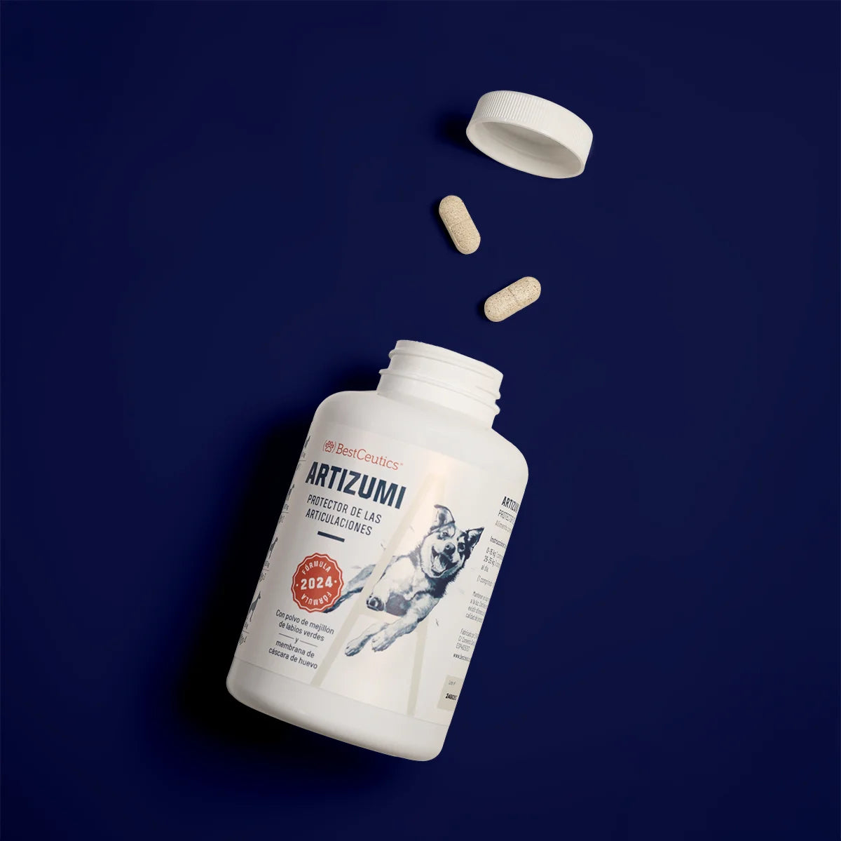 Artizumi protector e articulaciones